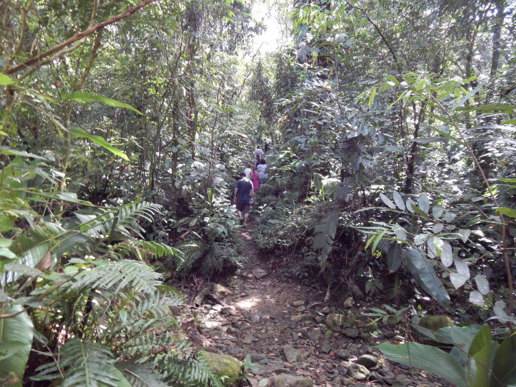 Trilha das Cachoeiras do Ribeirão de Itu / Crédito: Ana Elisa Teixeira