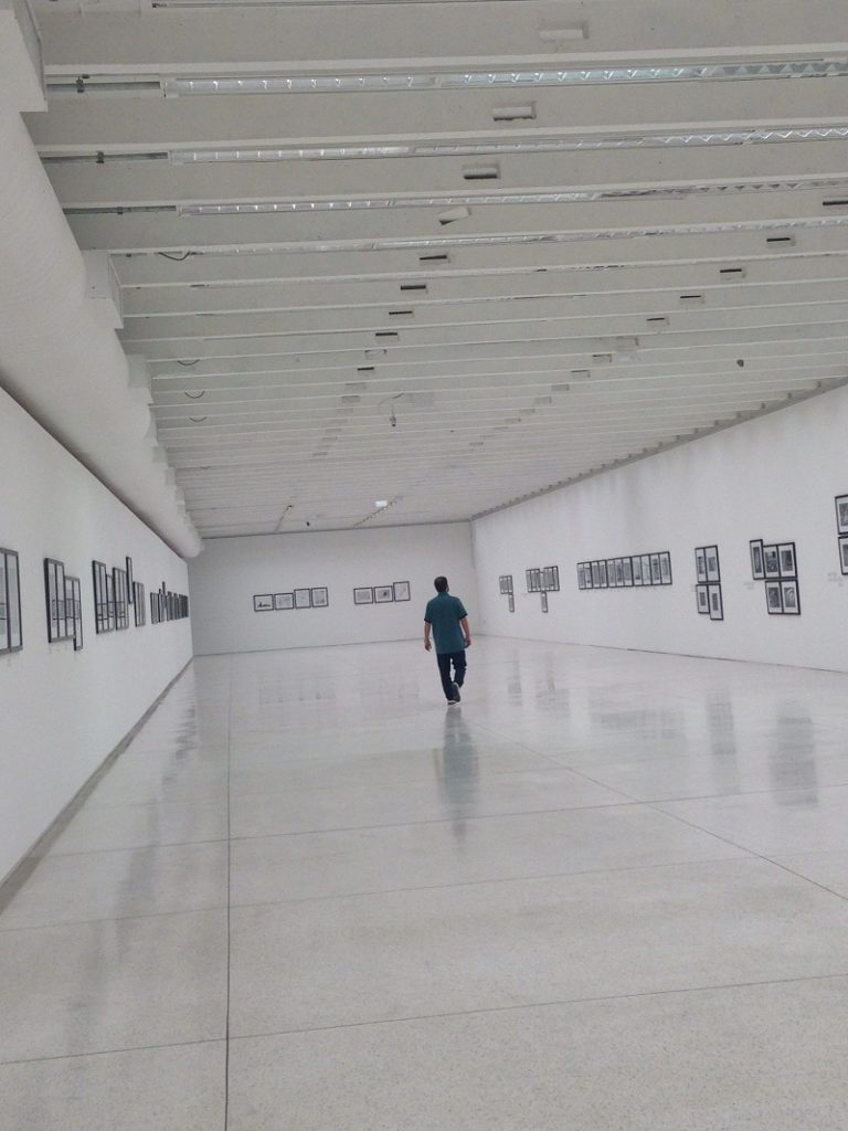 Crédito: Ana Elisa Teixeira